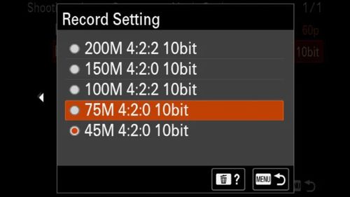 dpes the zv-e10 have 10 bit color,Understanding 10-bit Color