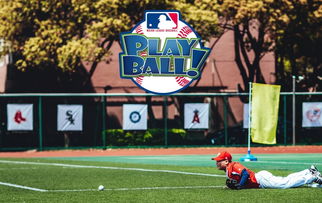 mlb ballpark bites,MLB Ballpark Bites: A Culinary Journey Through America’s Baseball Parks