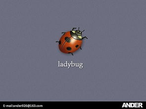 lady bug bites,Lady Bug Bites: A Comprehensive Guide