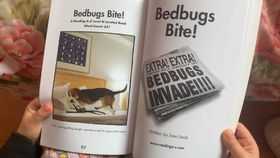 bed bugs bite,Bed Bugs Bite: A Comprehensive Guide