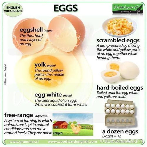 starbucks egg white bites nutrition,Understanding Starbucks Egg White Bites Nutrition