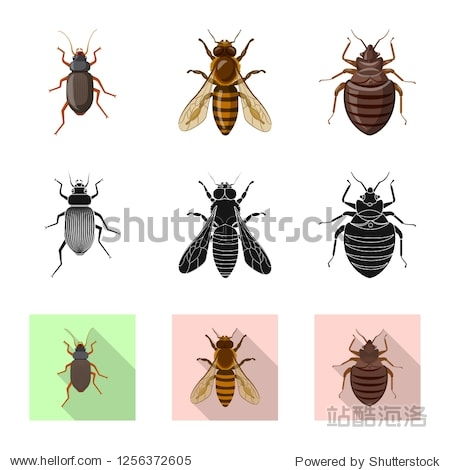 insect bites and stings images,Insect Bites and Stings Images: A Detailed Overview