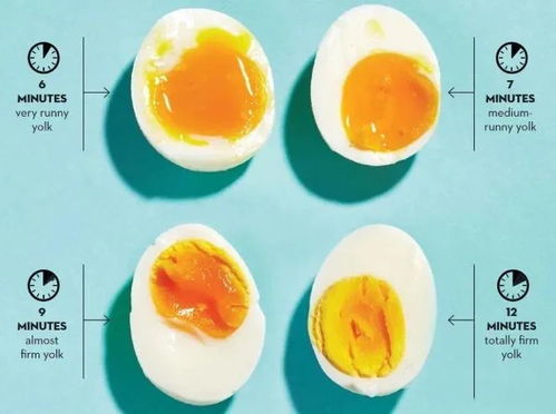 easy egg bites,Easy Egg Bites: A Comprehensive Guide