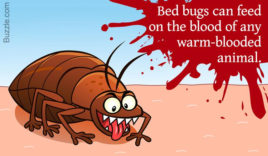 bug bed bites,Understanding Bug Bed Bites: A Comprehensive Guide