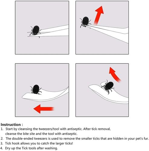 early stage tick bite,Early Stage Tick Bite: A Comprehensive Guide