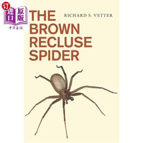 how to treat a brown recluse spider bite,Understanding the Brown Recluse Spider Bite