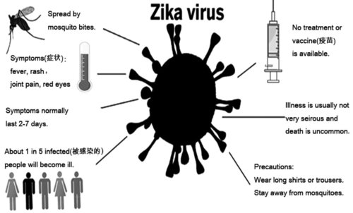 allergic mosquito bites,Allergic Mosquito Bites: A Comprehensive Guide