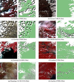 images of different bug bites,Images of Different Bug Bites: A Detailed Look