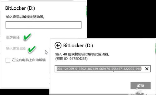 bit locker key,Understanding the BitLocker Key: A Comprehensive Guide