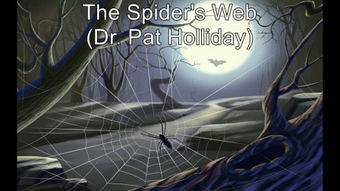 spider bit,Spider Bit: A Comprehensive Overview