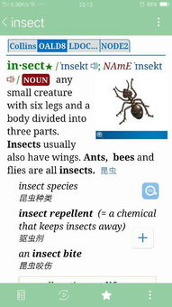 infected insect bite images,Infected Insect Bite Images: A Detailed Look