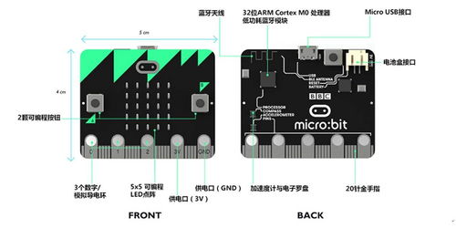 micro-bit,micro:bit: Your Gateway to the World of Programming