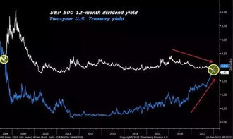 bito dividend yield,Understanding Bito Dividend Yield: A Comprehensive Guide