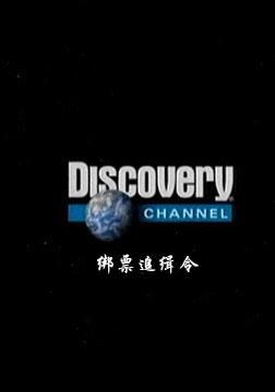 discovery bit,Discovery Bit: Unveiling the Secrets of the Digital World