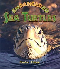 do sea turtles bite,Do Sea Turtles Bite?