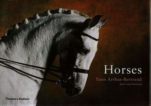 horses bit,Horses Bit: A Comprehensive Guide