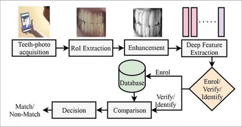 deep bite teeth,Understanding Deep Bite Teeth: A Comprehensive Guide