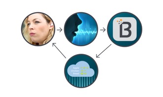 8 bit bite,8 Bit Bite: Unveiling the Intricacies of Bits and Bytes