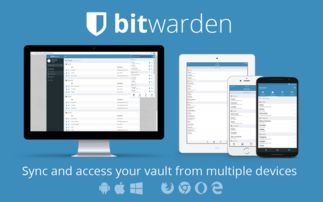 is bit defender password manager safe,Is Bit Defender Password Manager Safe?