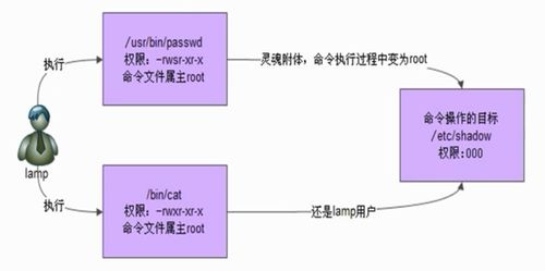 sticky bit linux,Understanding the Sticky Bit in Linux: A Detailed Guide for You