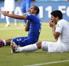 suarez world cup bite,Understanding the Suarez World Cup Bite: A Detailed Look